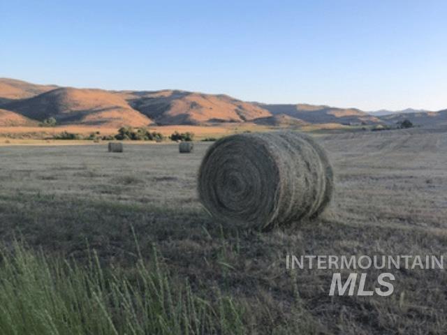 1550 Monroe Creek Road Weiser, ID 83672 - Photo 31 of 36