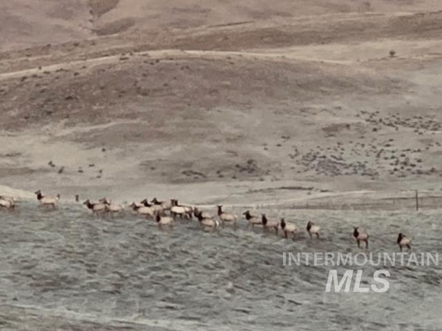 1550 Monroe Creek Road Weiser, ID 83672 - Photo 35 of 36