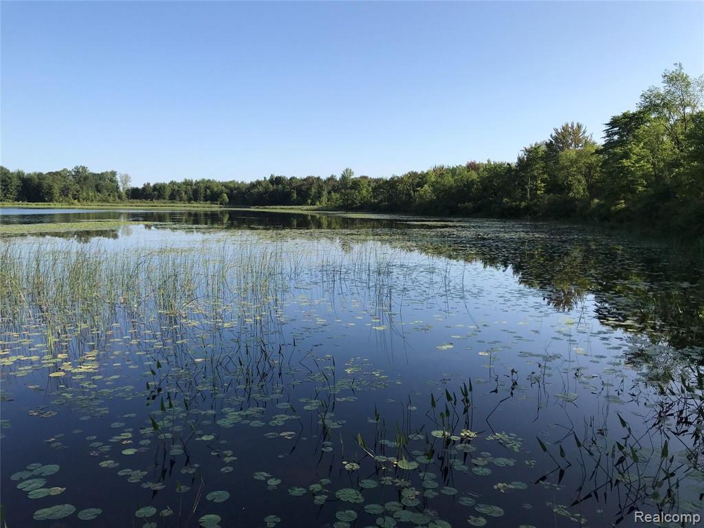 13725 Wilmore Road Stockbridge, MI 49285 - Photo 23 of 94
