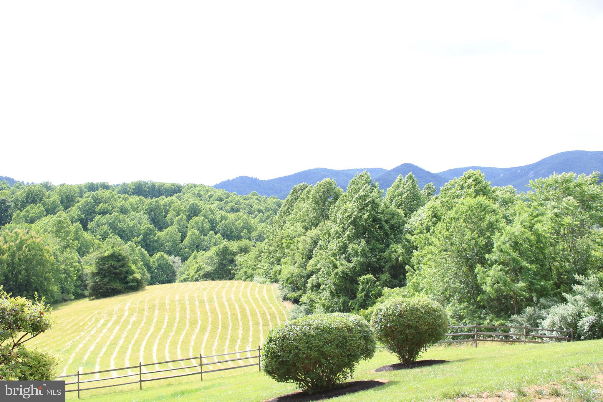 4028 South F T Valley Road Etlan, VA 22719 - Photo 39 of 39