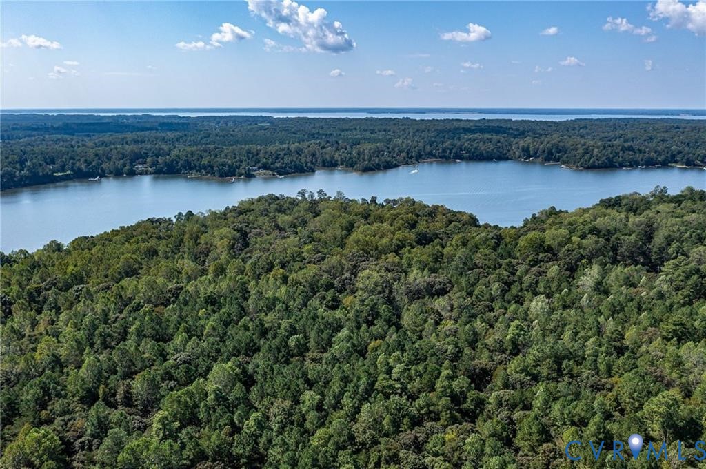 2 Browns Lane Lancaster, VA 22503 - Photo 19 of 27 a view of a lake in middle of forest