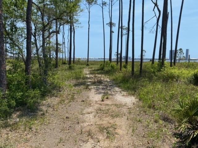 Ft Morgan Road Gulf Shores, AL 36542 - Photo 6 of 11