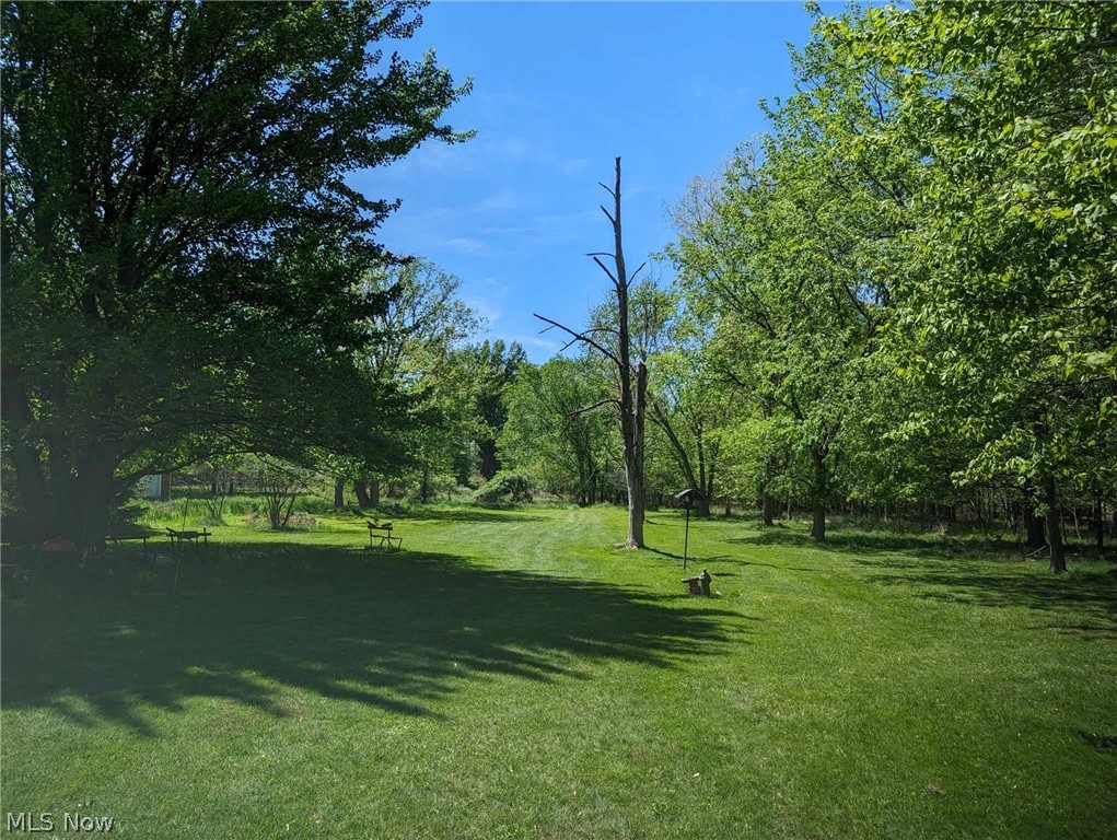 V/l Trebisky Road Cleveland, OH 44143 - Photo 10 of 16