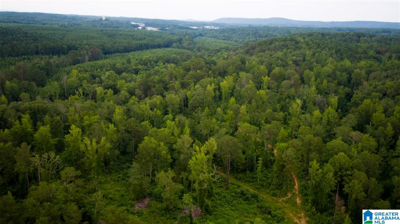 180 Gibson Road, Unit 76 / ACRES OFF GIBSON R Columbiana, AL 35051 - Photo 46 of 50