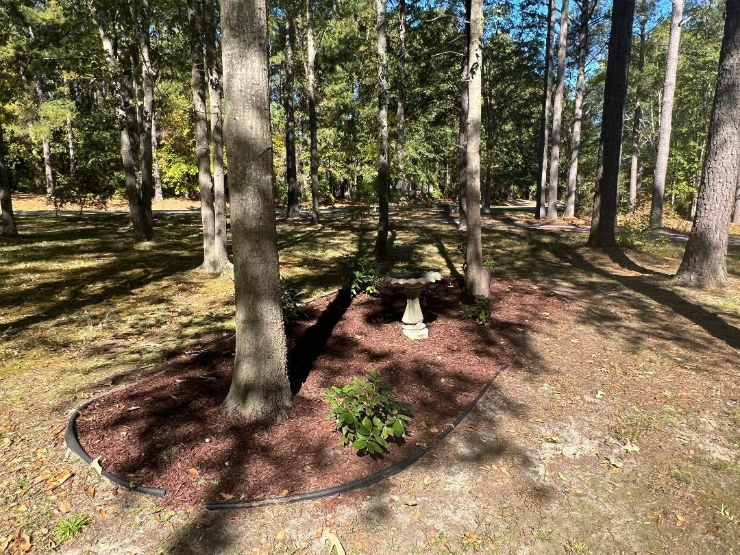 119 Plantation Road Clayton, NC 27520 - Photo 7 of 54 Photo 7