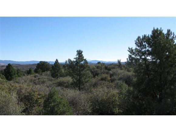 0 Ruger Ranch Road Kirkland, AZ 86332 - Photo 1 of 2 Primary Photo