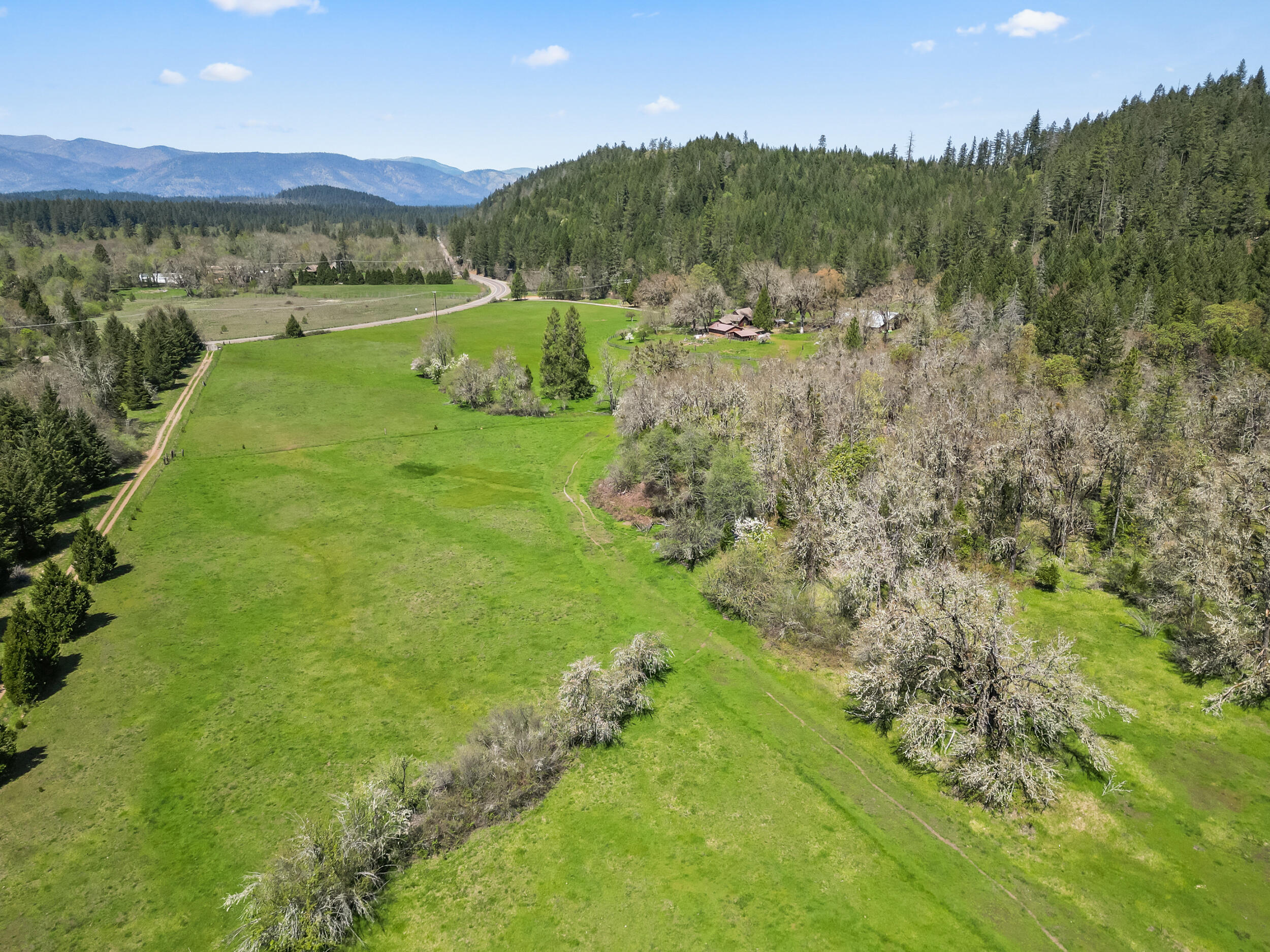 7589 Takilma Road Cave Junction, OR 97523 - Photo 49 of 54 a view of a lush green forest with houses