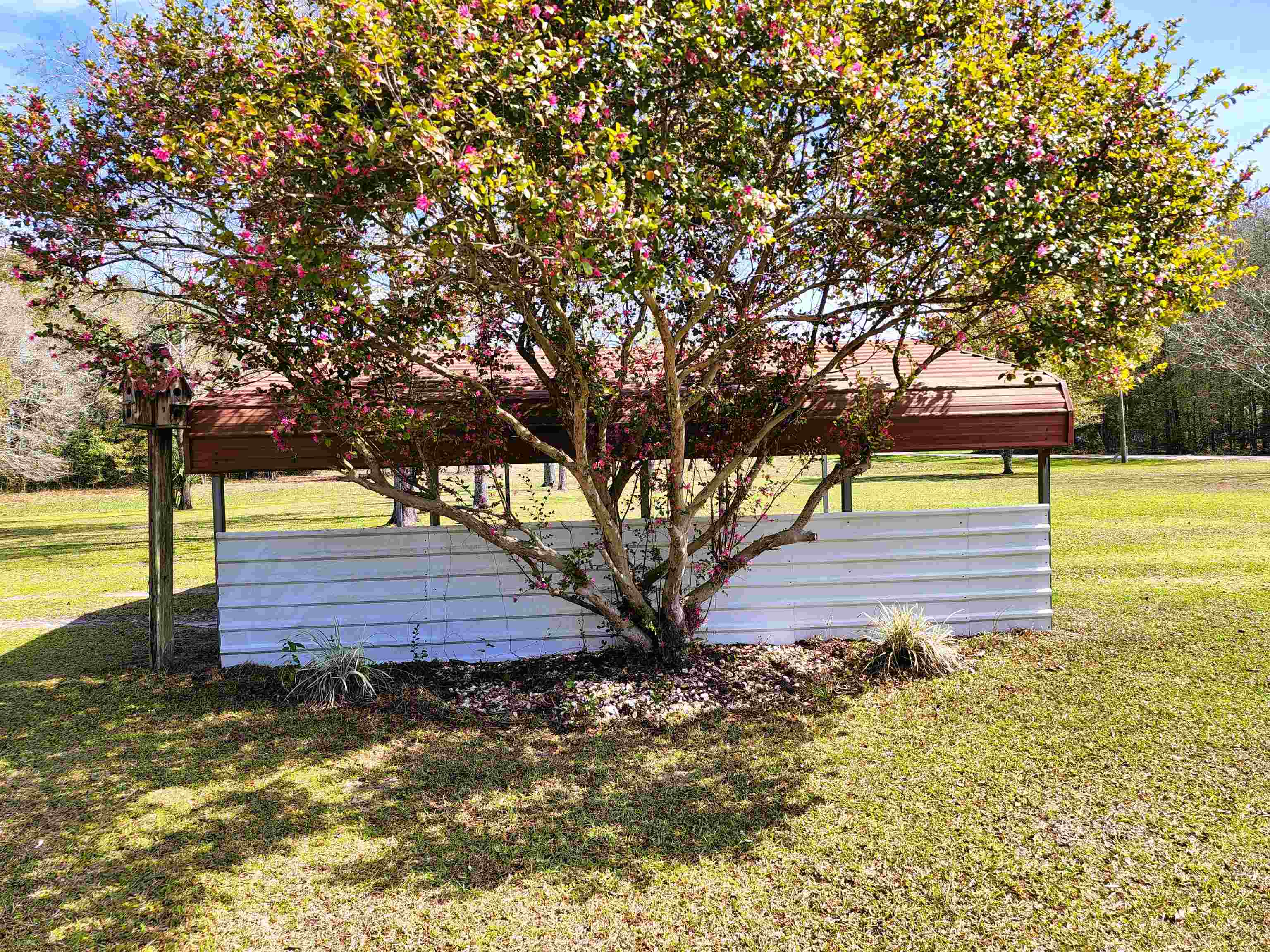 207 Gwen Drive Lee, FL 32059 - Photo 23 of 36