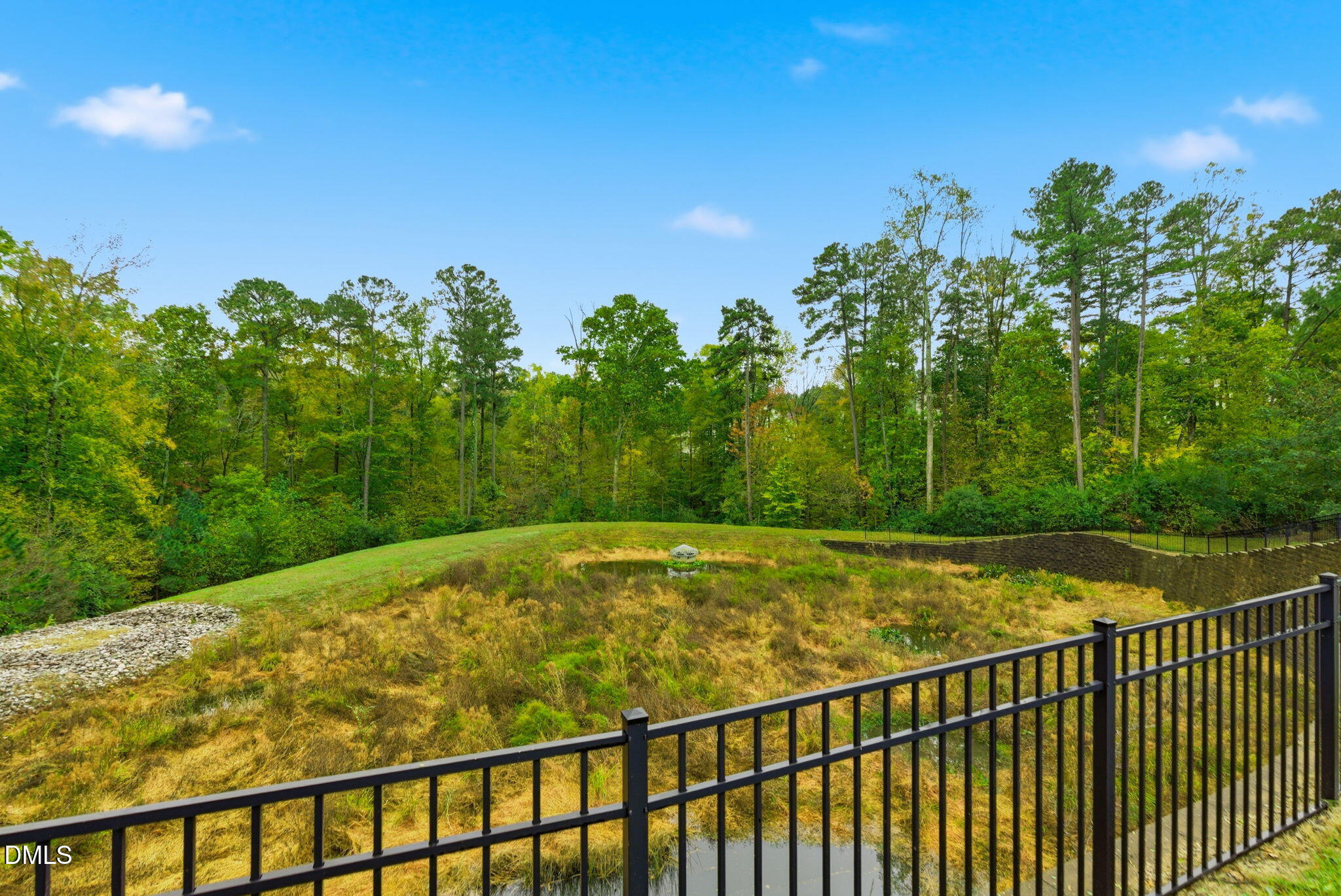 7851 Allscott Way Raleigh, NC 27612 - Photo 68 of 74 a view of a yard with iron fence