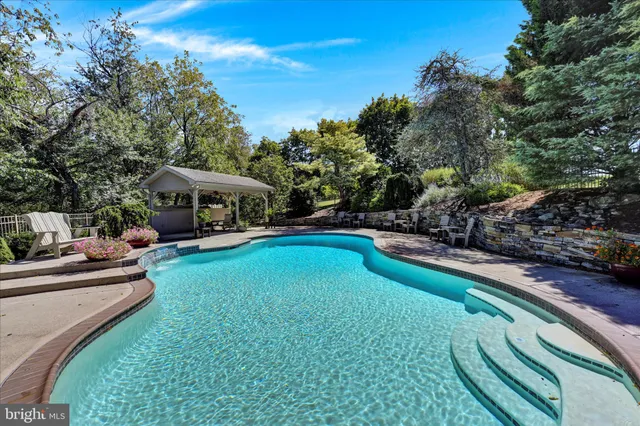 a view of a field and trees in the background
