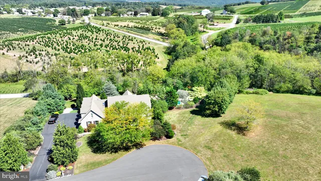 a dining room with furniture a chandelier and wooden floor
