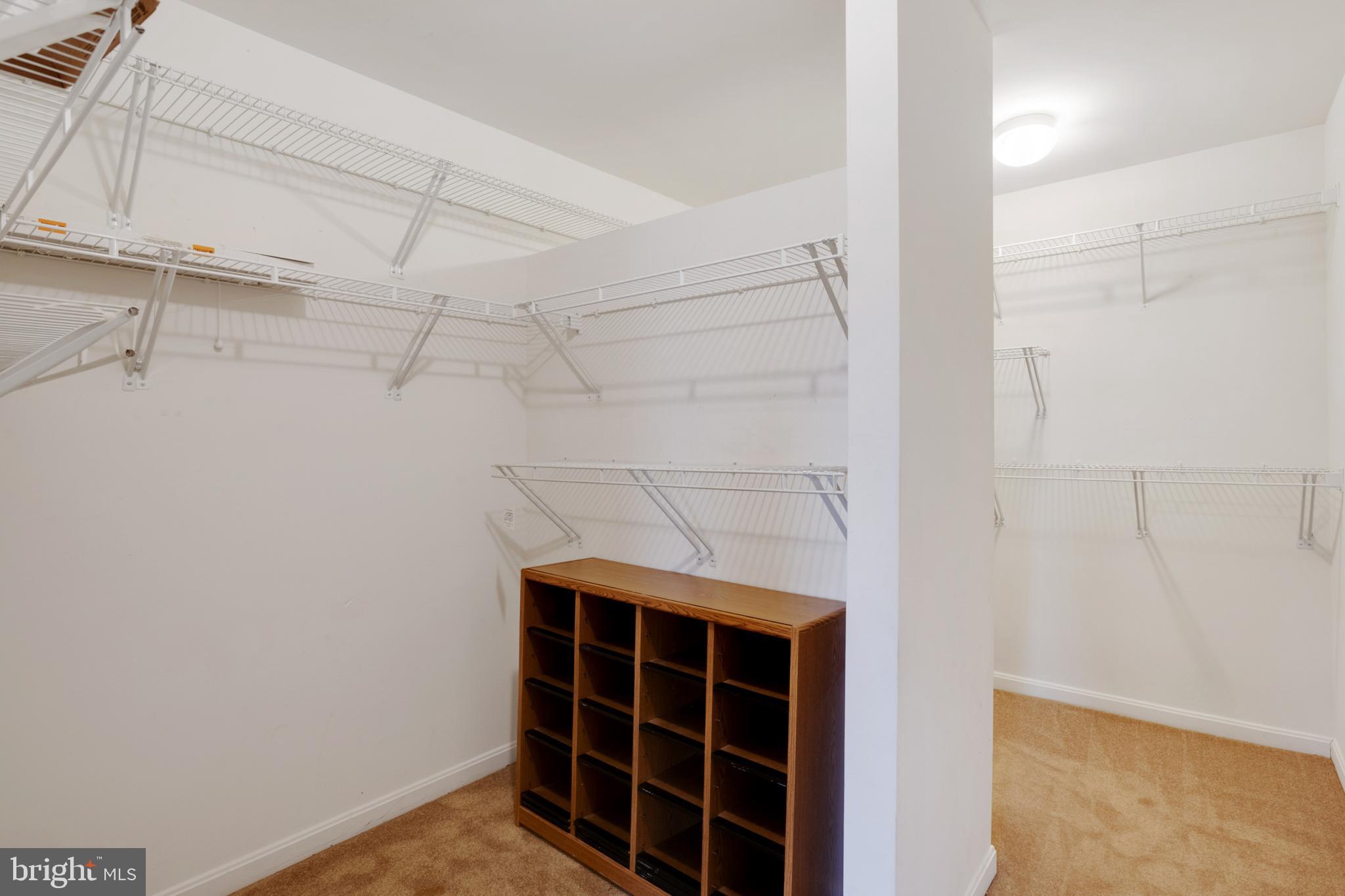 864 Fox Den Road Culpeper, VA 22701 - Photo 31 of 66 Primary bedroom walk-in closet