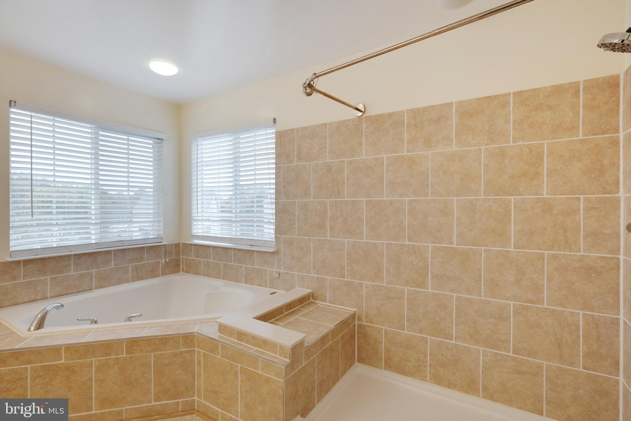 864 Fox Den Road Culpeper, VA 22701 - Photo 32 of 66 Primary ceramic-tiled bath with soaking tub