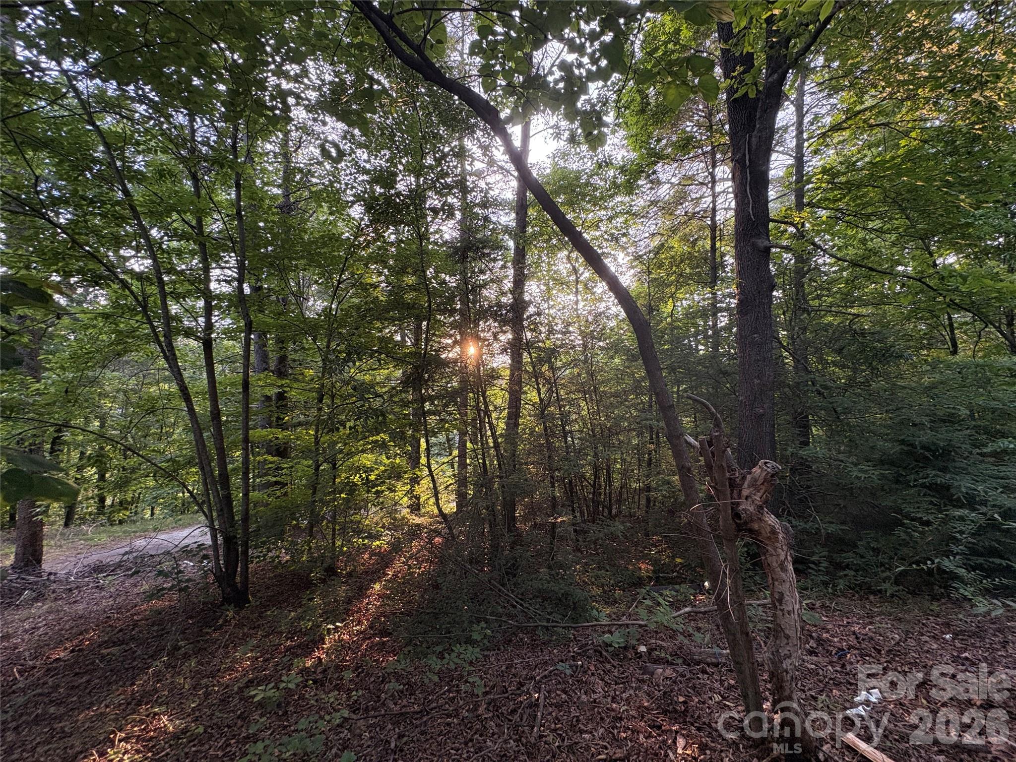 4733 Bat Cave Road Old Fort, NC 28762 - Photo 12 of 36