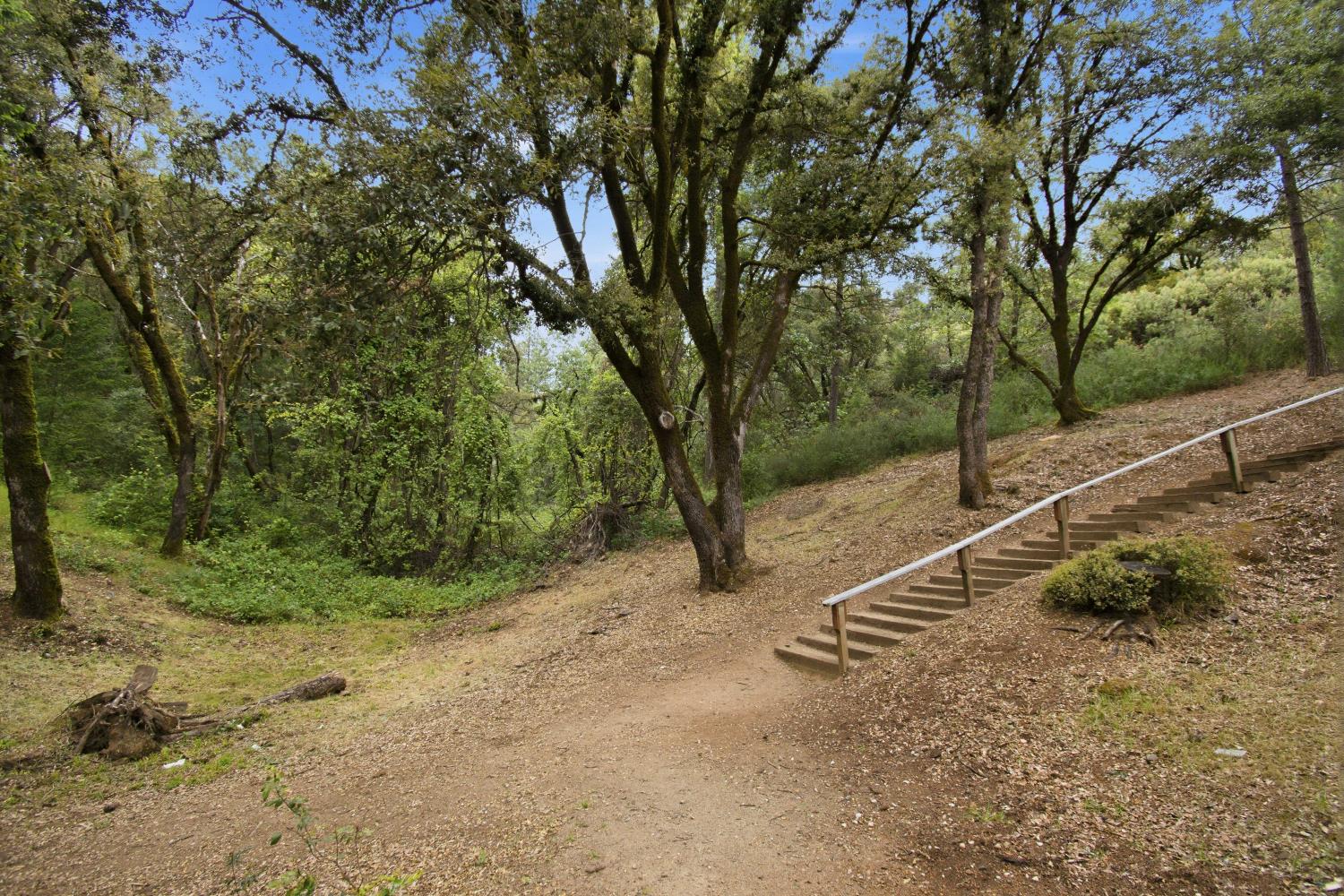 1360 Oak Ridge Drive Colfax, CA 95713 - Photo 30 of 36