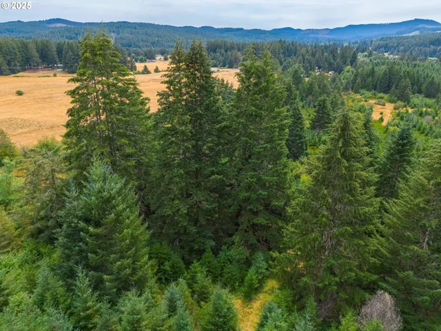 a view of lake and mountain view