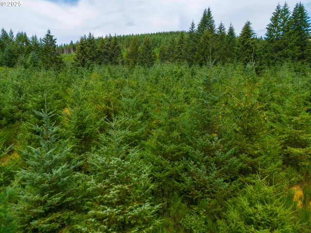 a view of a field of grass and trees
