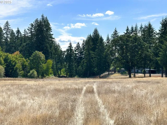 a view of road with trees