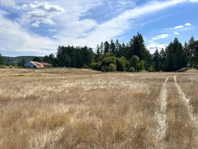 a view of an outdoor space with yard