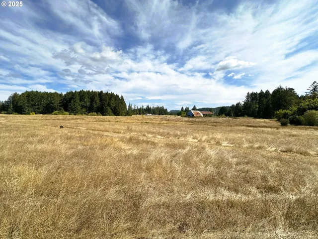 a view of an outdoor space and a yard