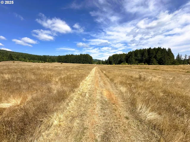 a view of an ocean and beach