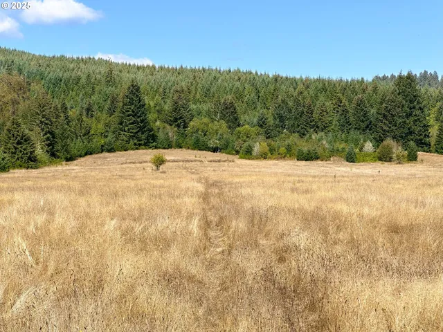 a view of a yard with a mountain