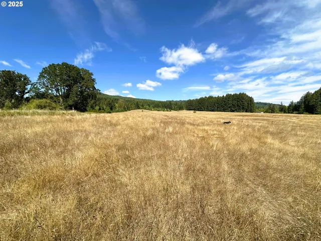 a view of an ocean and a mountain
