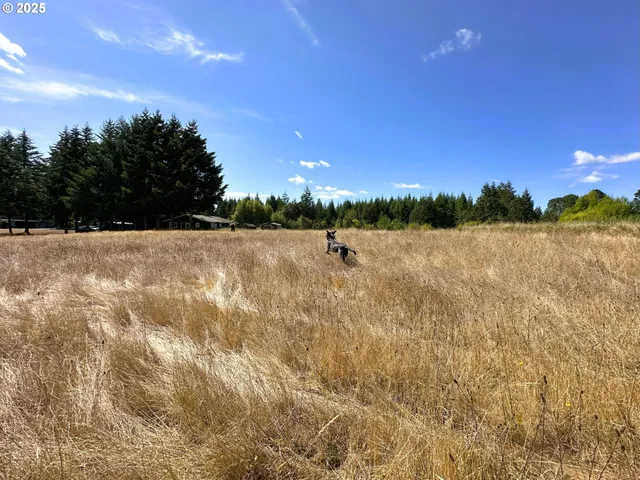 a view of mountain with sunset in background
