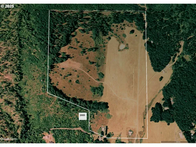 an aerial view of swimming pool