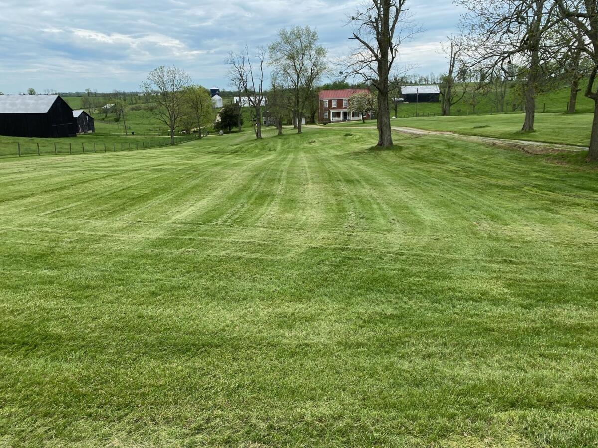 1236 Jackstown Road Paris, KY 40361 - Photo 39 of 41 frontyard2