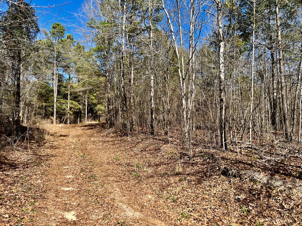 0 County Road 97 Abbeville, AL 36310 - Photo 35 of 53