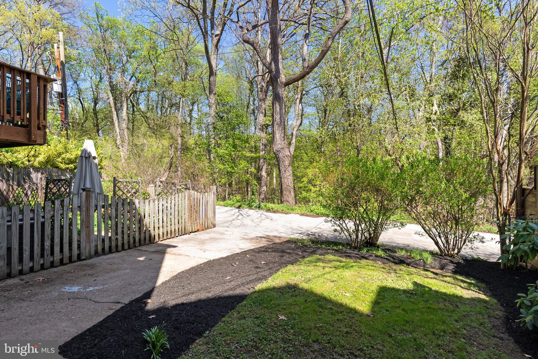 1511 44th Street Northwest Washington, DC 20007 - Photo 30 of 37 a view of a backyard with large trees