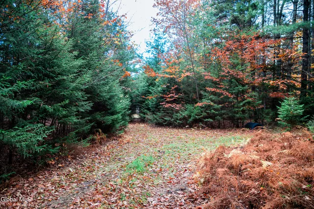 $32,000 | L4.123 Eminence Road, Summit, NY 12175