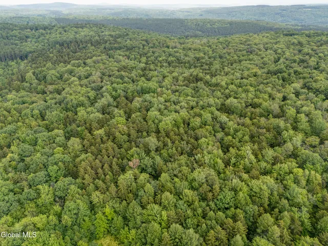 $32,000 | L4.123 Eminence Road, Summit, NY 12175