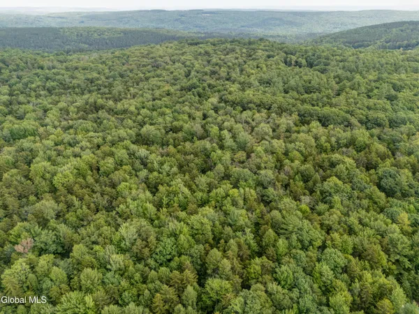 $29,000 | L4.123 Eminence Road, Summit, NY 12175