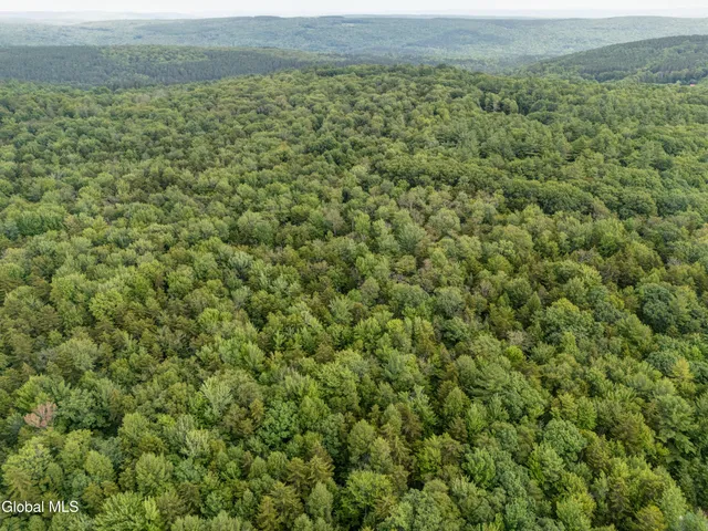 $32,000 | L4.123 Eminence Road, Summit, NY 12175