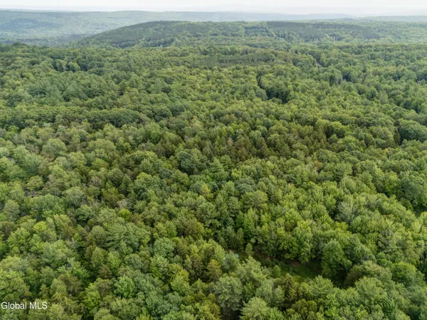 $29,000 | L4.123 Eminence Road, Summit, NY 12175