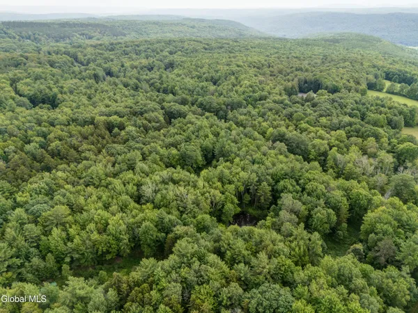 $29,000 | L4.123 Eminence Road, Summit, NY 12175