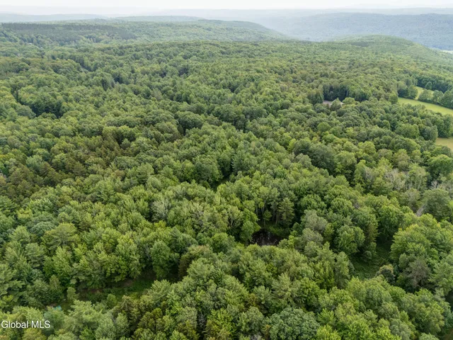 $32,000 | L4.123 Eminence Road, Summit, NY 12175