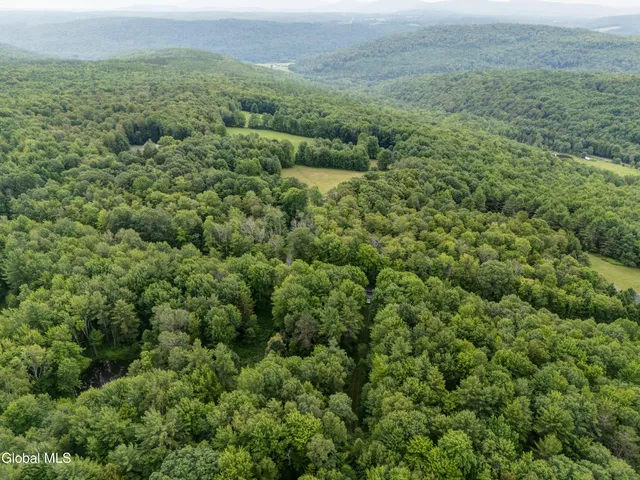 $32,000 | L4.123 Eminence Road, Summit, NY 12175