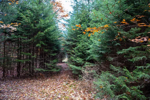 $29,000 | L4.123 Eminence Road, Summit, NY 12175