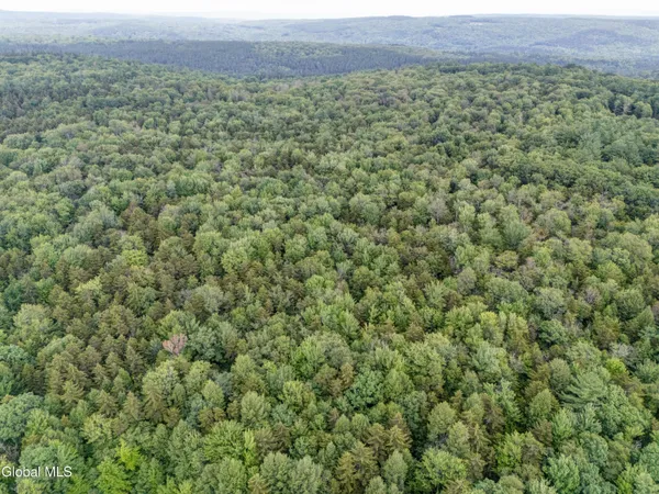 $29,000 | L4.123 Eminence Road, Summit, NY 12175