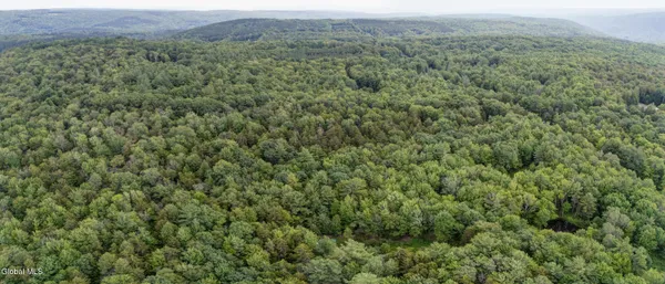 $29,000 | L4.123 Eminence Road, Summit, NY 12175