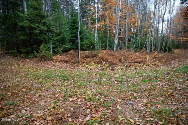 $29,000 | L4.123 Eminence Road, Summit, NY 12175