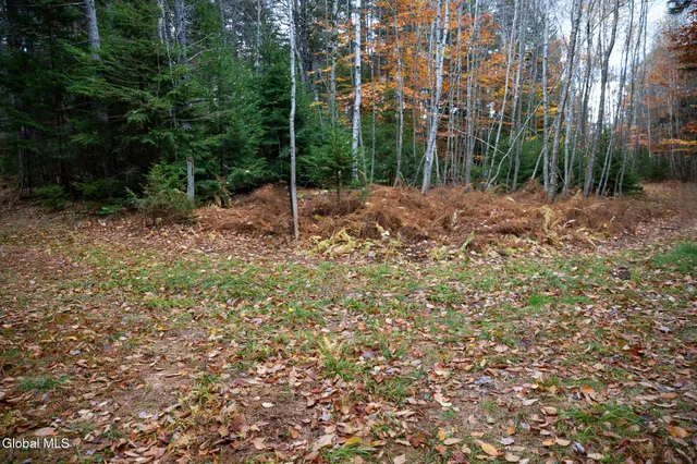 $32,000 | L4.123 Eminence Road, Summit, NY 12175