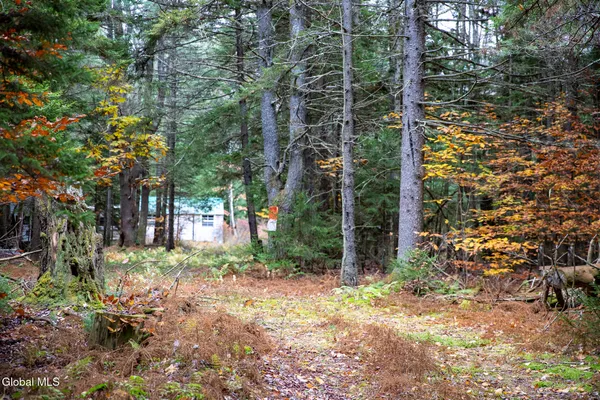 $29,000 | L4.123 Eminence Road, Summit, NY 12175