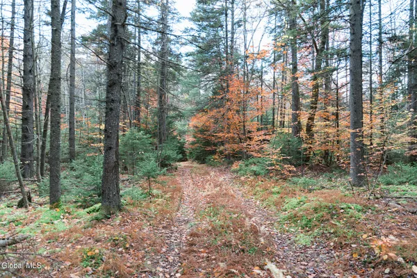 $29,000 | L4.123 Eminence Road, Summit, NY 12175