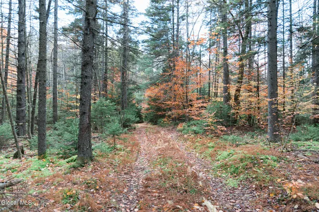 $32,000 | L4.123 Eminence Road, Summit, NY 12175