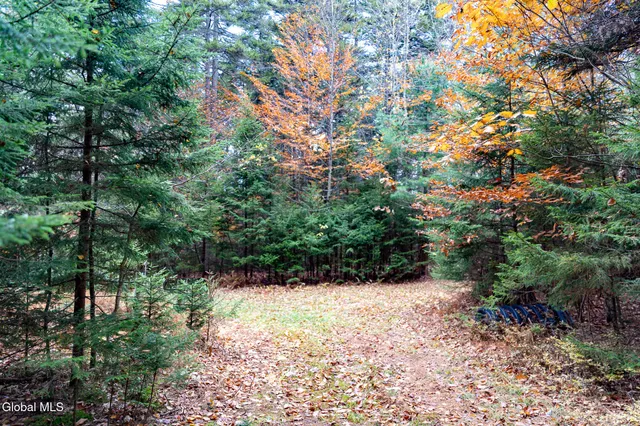 $32,000 | L4.123 Eminence Road, Summit, NY 12175