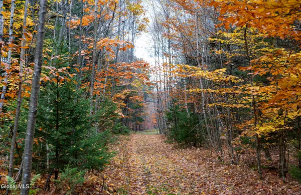 $29,000 | L4.123 Eminence Road, Summit, NY 12175